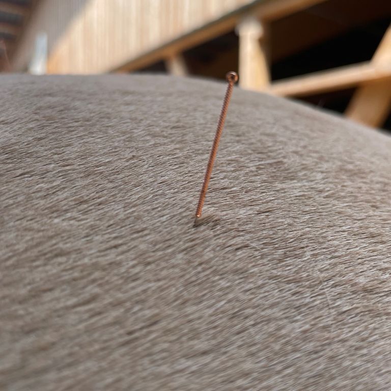 Dry-Needling