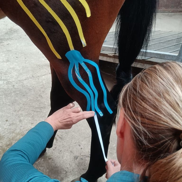 Kinesiotaping
